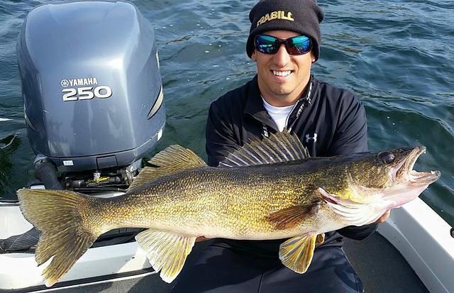 11188321 10102166588518238 5225304043493456194 n