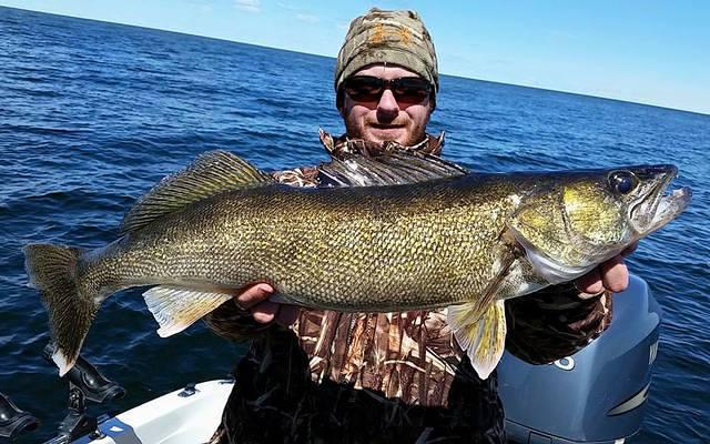 11188457 10102158601095098 4082560224646777181 n