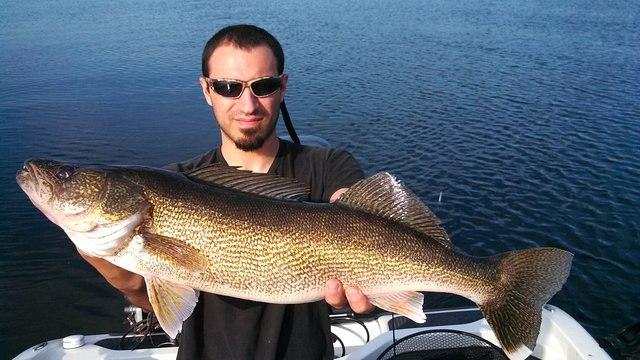Toad caught trolling in deep watter durring the day