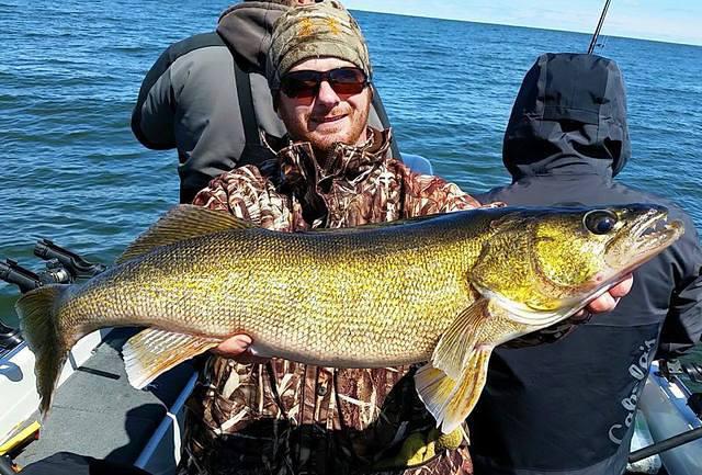 1975097 10102158600980328 8763821808594202565 n