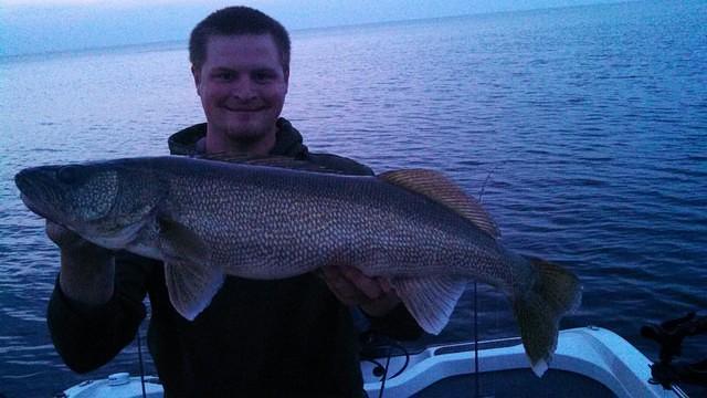 Nice eye caught jigging