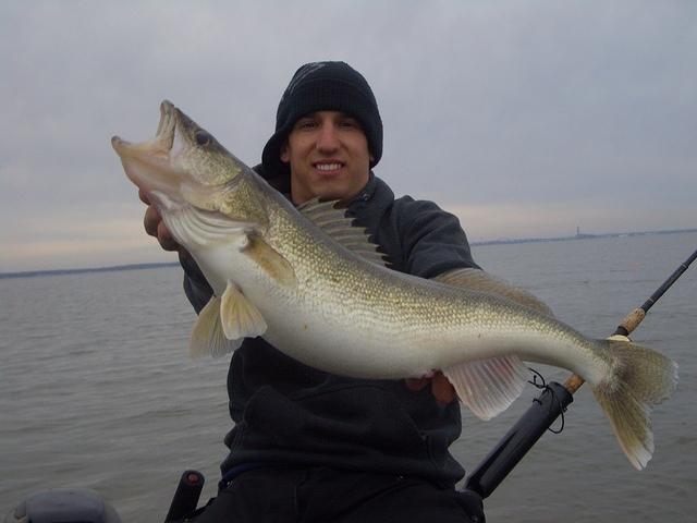 Fox River Spring Walleye March