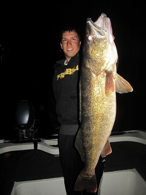 33 inch 13lb walleye 2013