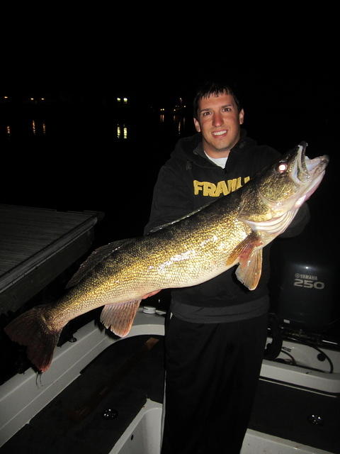 33 inch 13lb walleye 2013