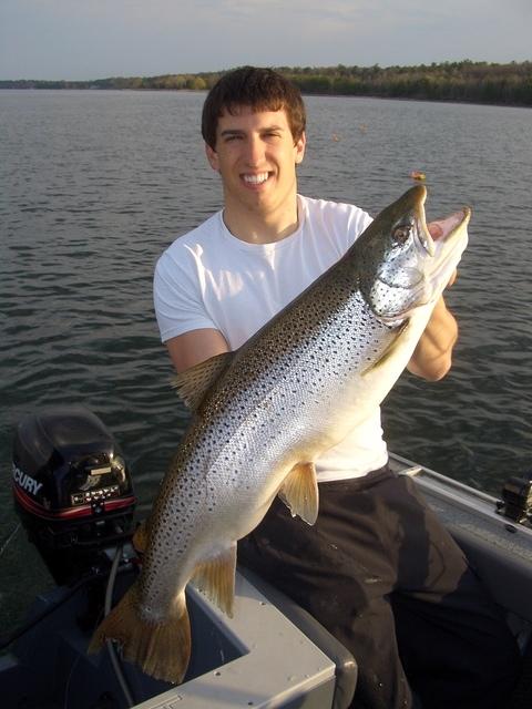 Sturgeon bay brown trout