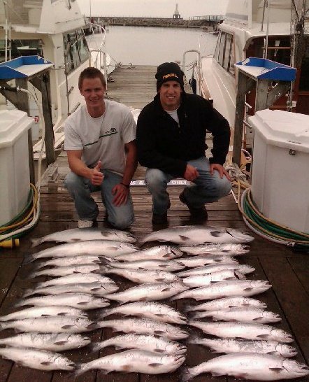 Nice Batch of Salmon