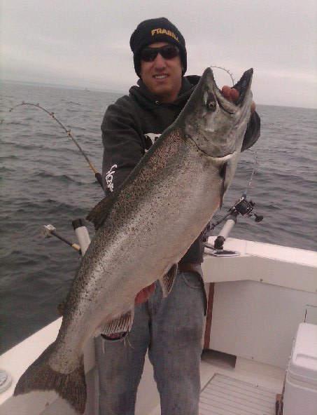20lb King Salmon