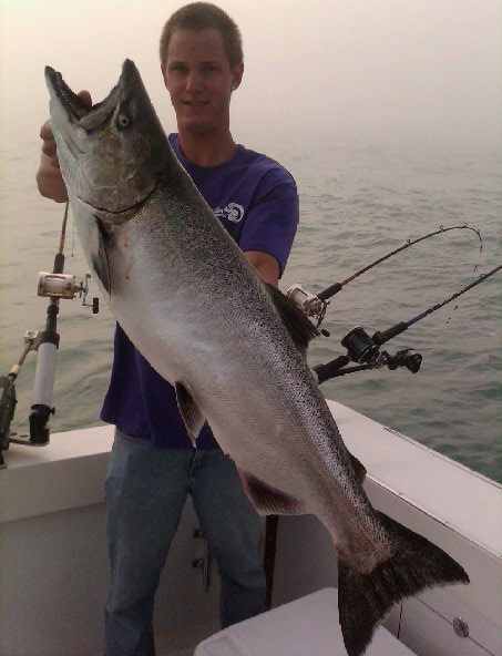 20lb King