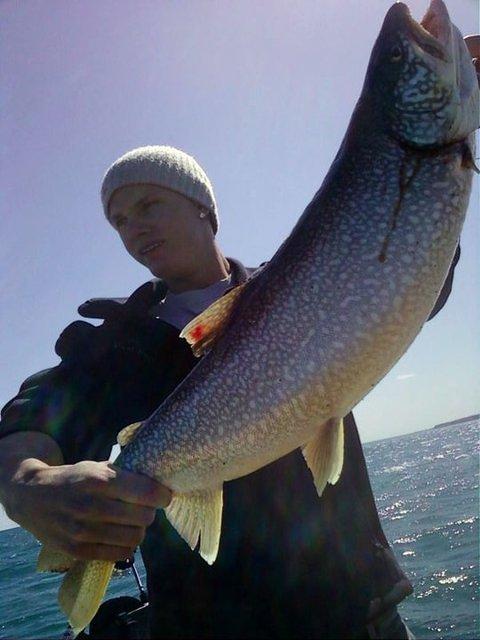 Lake Trout