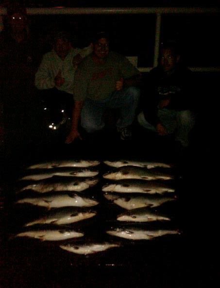 Nice catch on a 3hr evening trip