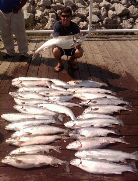 A Nice Limit of Salmon