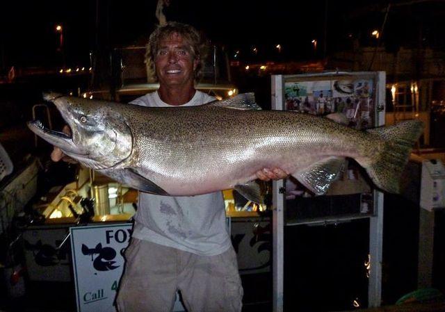 30lb King Salmon