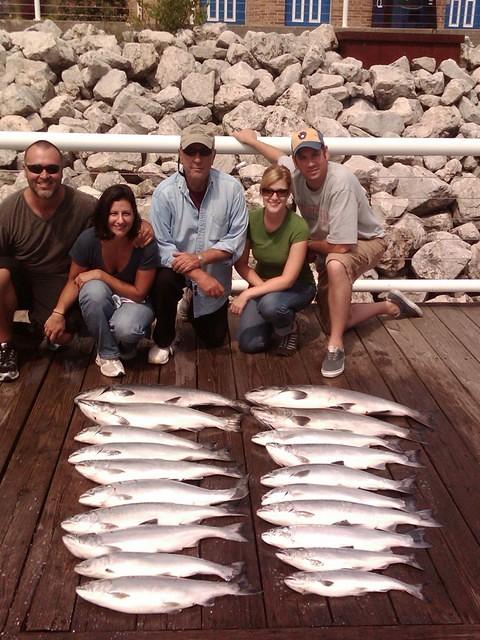 Nice Batch of Salmon