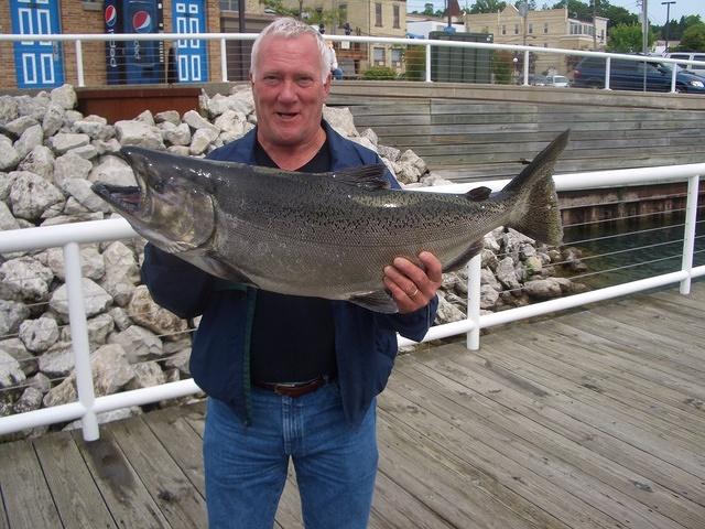King Salmon