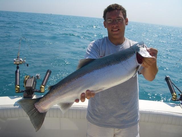 Rainbow Trout Wisconsin