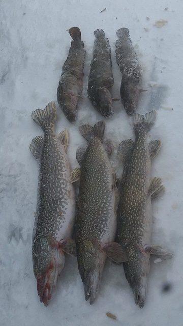 10583991 10102106654321848 2883312072307446928 n