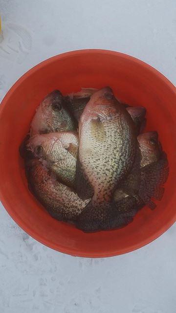 10849944 10102039547344768 953954590514828140 n