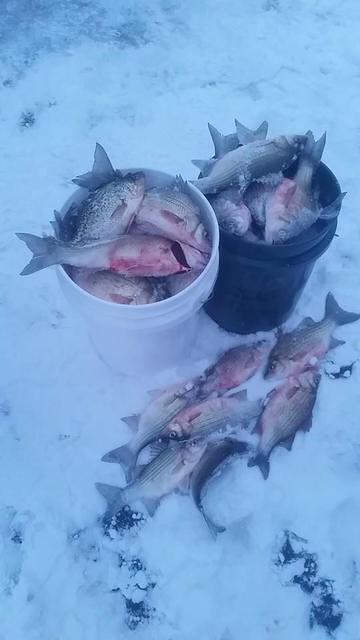 10896940 10102085177242088 802834097109622533 n