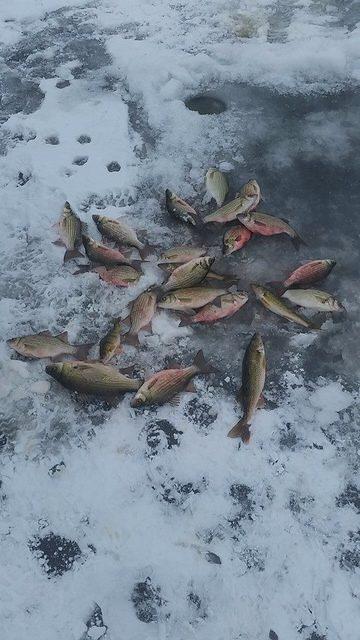 10929092 10102084614624578 755231790859628483 n