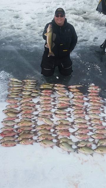 10933737 10102081969240948 8943037418932743051 n