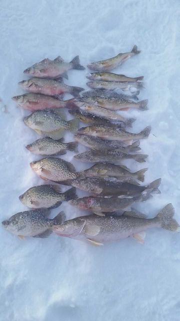 10933921 10102088059146728 4295979187428336882 n