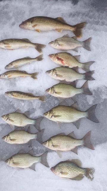 10941005 10102084614564698 614237412812244733 n