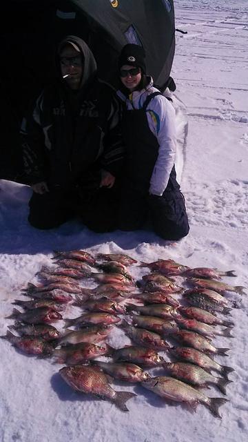 1098302 10101812249581308 1448725646 n