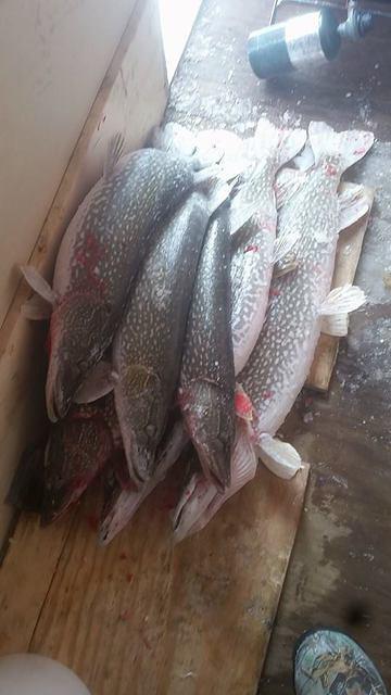 10984277 10102105245360418 6141314468359773420 n