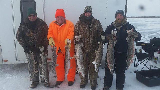 10991371 10102105245310518 6957585581031578297 n