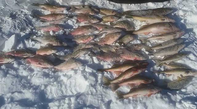 11021140 10102112760954108 3348185979160866259 n