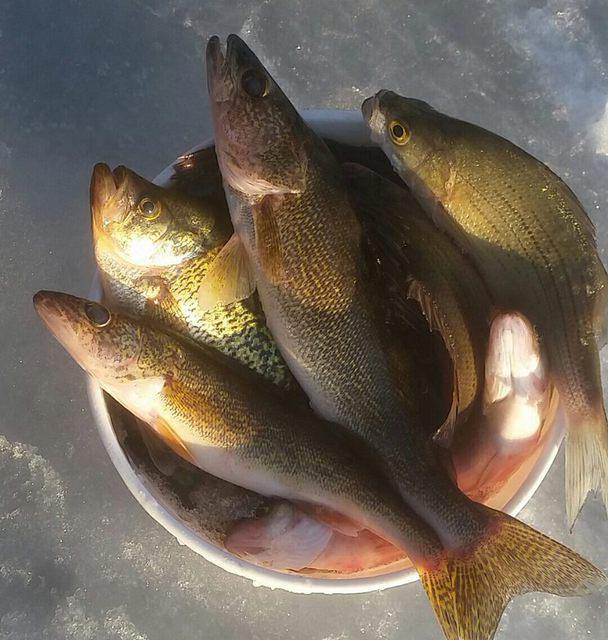 11043226 10102121526976928 4216227981184182577 o