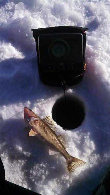 1911893 10101812931859018 1722221508 n