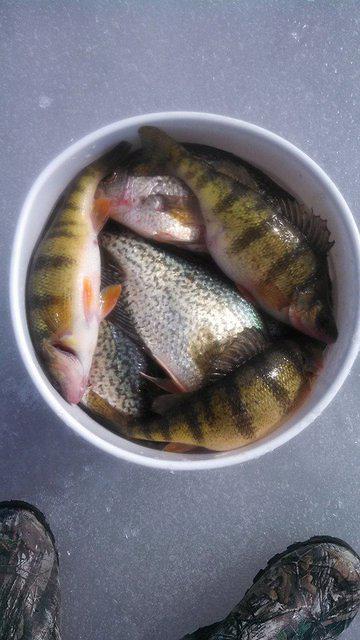 1959952 10101820535067128 997864565 n