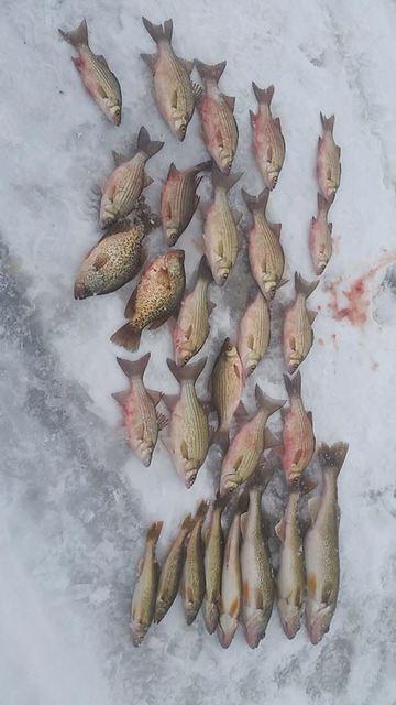 1969321 10102094474420468 2819631319264747394 n