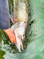 11951156 10102262567325938 3889541171908863894 n