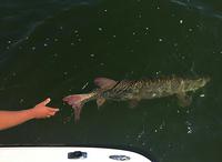 12088074 10102283364253728 9080732578399590903 n