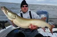 12191507 10102303681323158 7143136169759318749 n