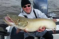 12208851 10102303681268268 8277313227621347144 n