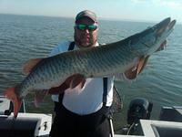 September Green Bay Musky