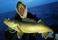 11188279 10102158227159468 8720751470145706398 n