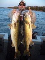 33 and 31.5 Walleyes