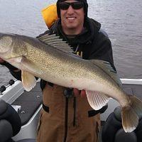 April Fox River Walleye