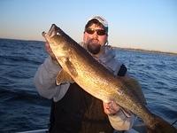 33 inch walleye
