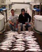 Nice Batch of Salmon