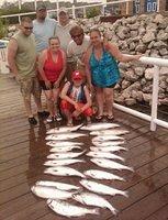 Nice Batch of Salmon