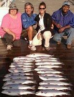 A nice limit of cohos