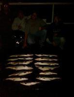 Nice catch on a 3hr evening trip