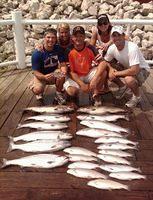 Nice Batch of Salmon