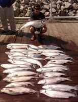 A Nice Limit of Salmon