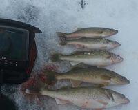 10368191 10102107505635808 6621048887668067069 n